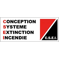 CSEI